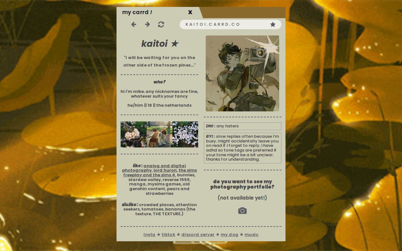 kaitoi's carrd